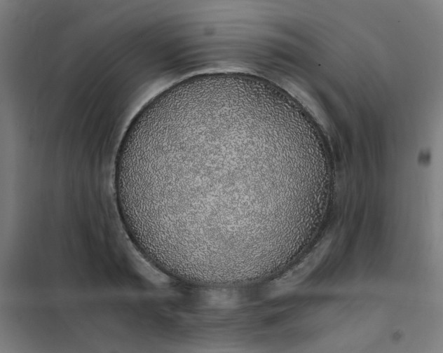 X0000101680797200807241344