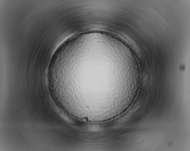 X0000101680798200807241344