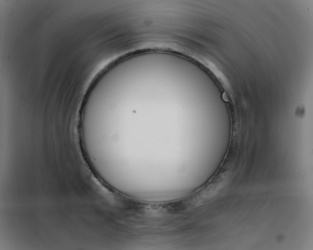 X0000101680799200807241344