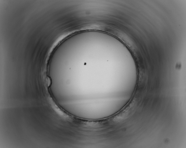 X0000101680800200807241344