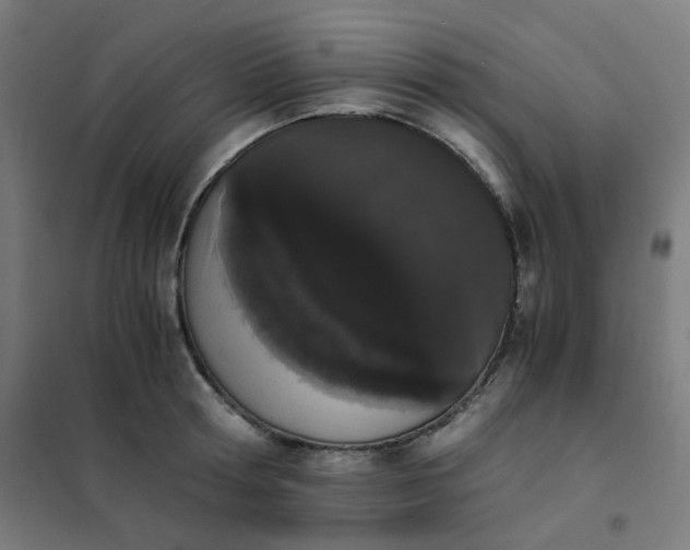 X0000101680802200807241344