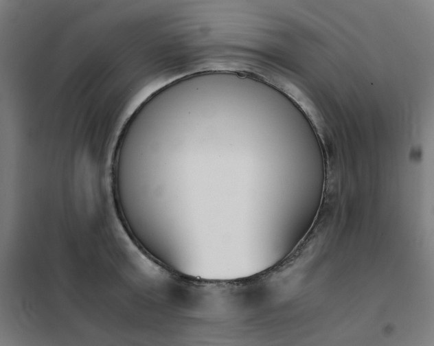 X0000101680803200807241344