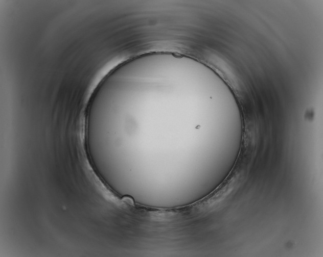 X0000101680804200807241344