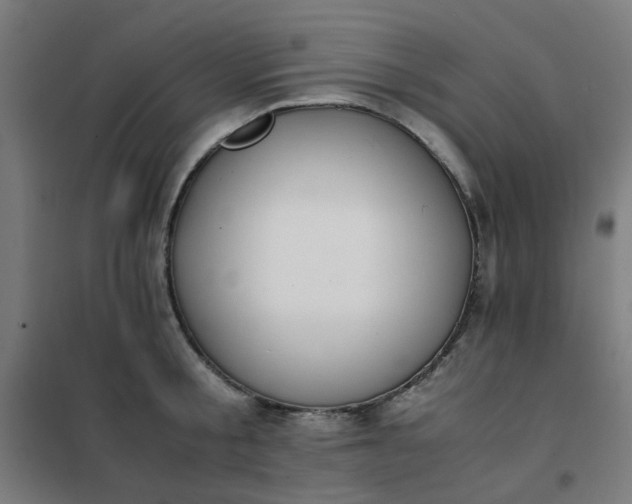 X0000101680805200807241344