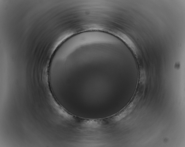 X0000101680806200807241344