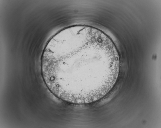 X0000101680807200807241344