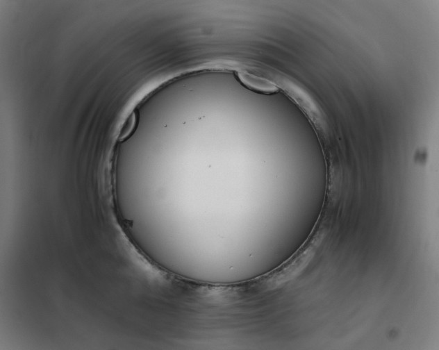 X0000101680808200807241344