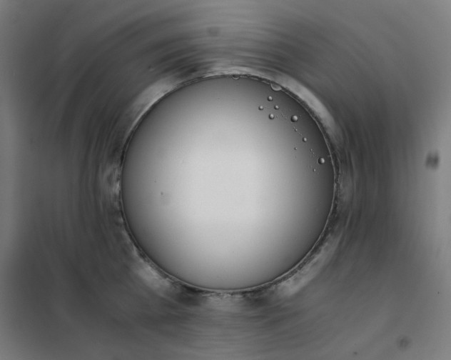 X0000101680809200807241344