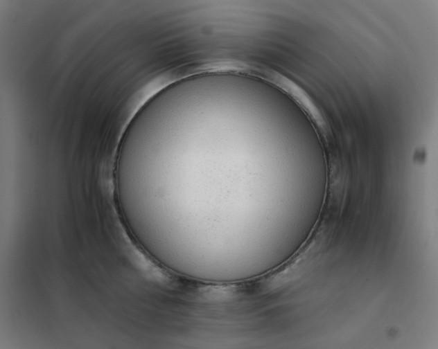 X0000101680810200807241344