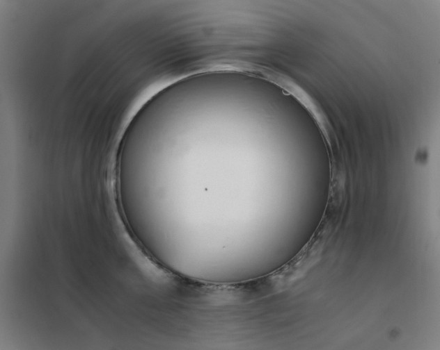 X0000101680811200807241344