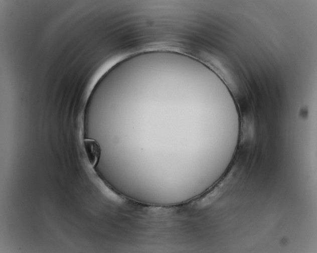 X0000101680812200807241344