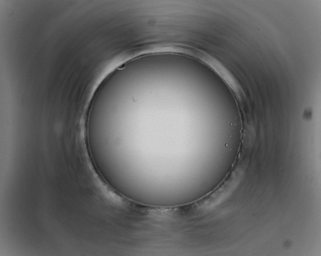 X0000101680813200807241344