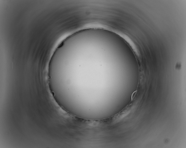 X0000101680815200807241344