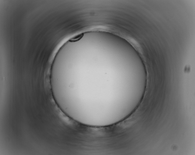 X0000101680816200807241344