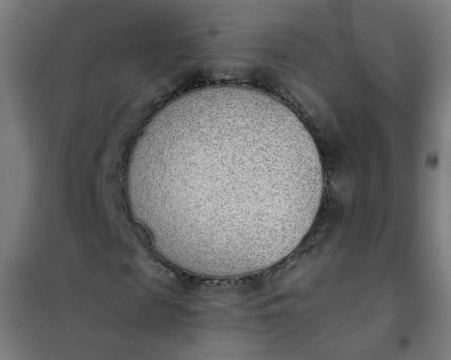 X0000101680817200807241343