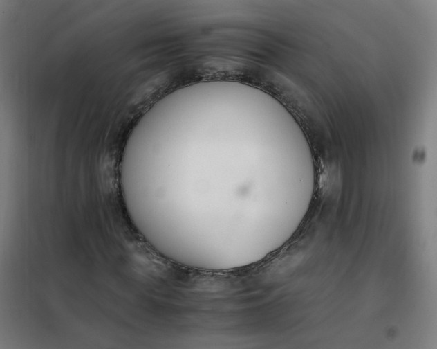 X0000101680819200807241343