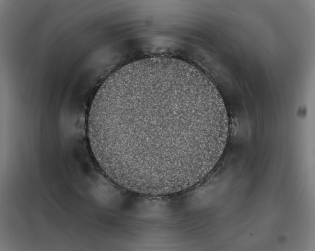 X0000101680820200807241343