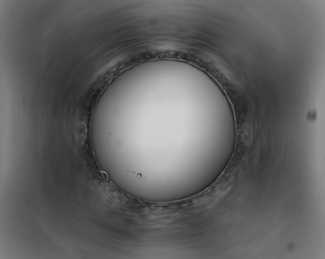 X0000101680821200807241343