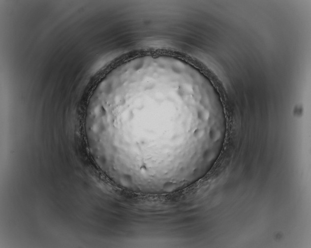 X0000101680823200807241343