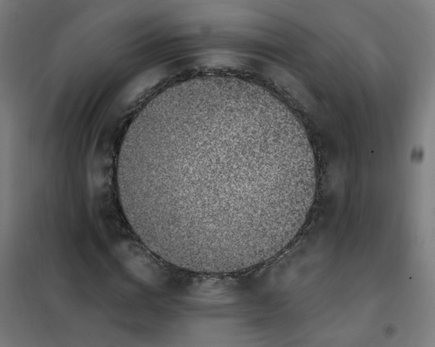 X0000101680824200807241343