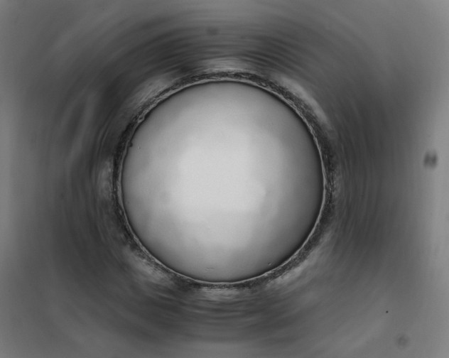 X0000101680825200807241343