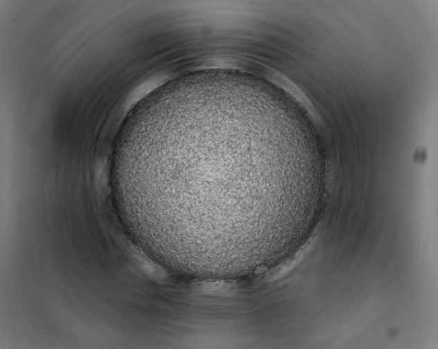 X0000101680826200807241343