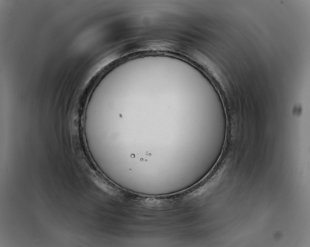 X0000101680827200807241343