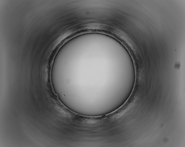 X0000101680829200807241343