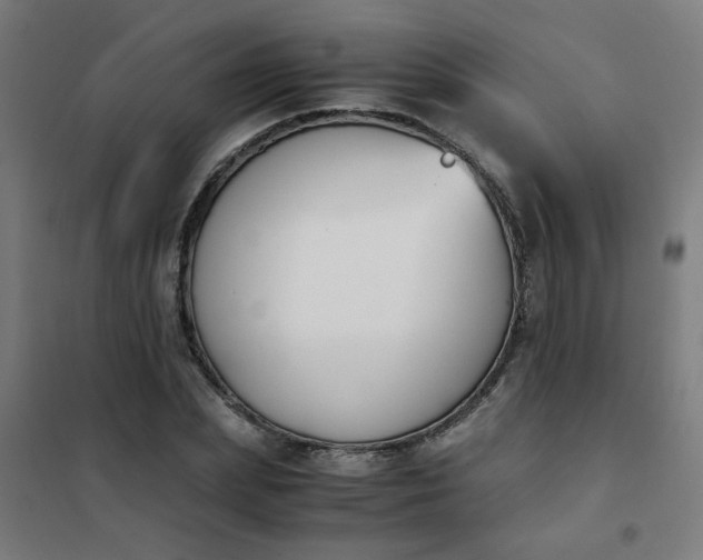 X0000101680831200807241343