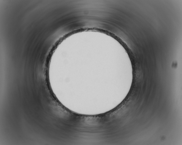 X0000101680832200807241343