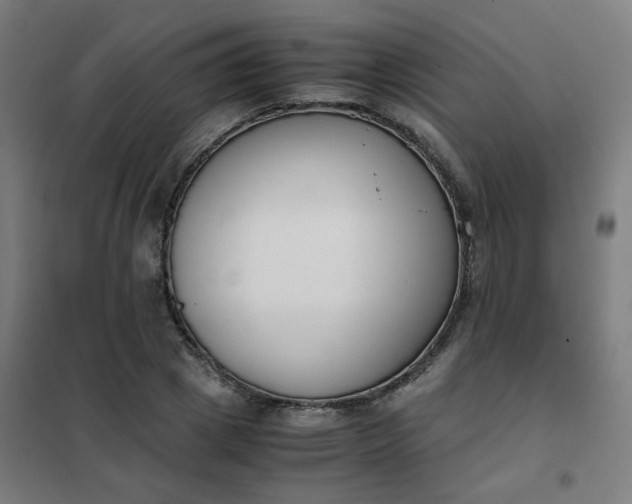 X0000101680833200807241343