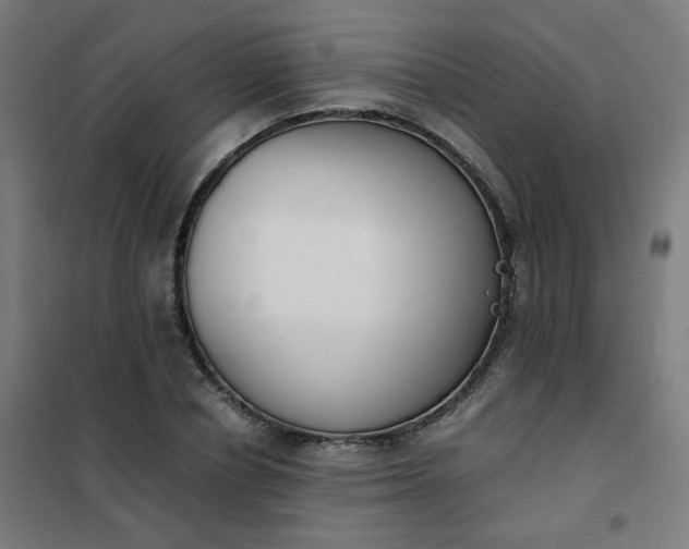 X0000101680834200807241343