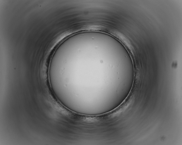 X0000101680835200807241343