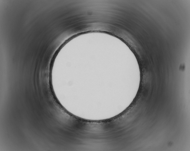 X0000101680836200807241343