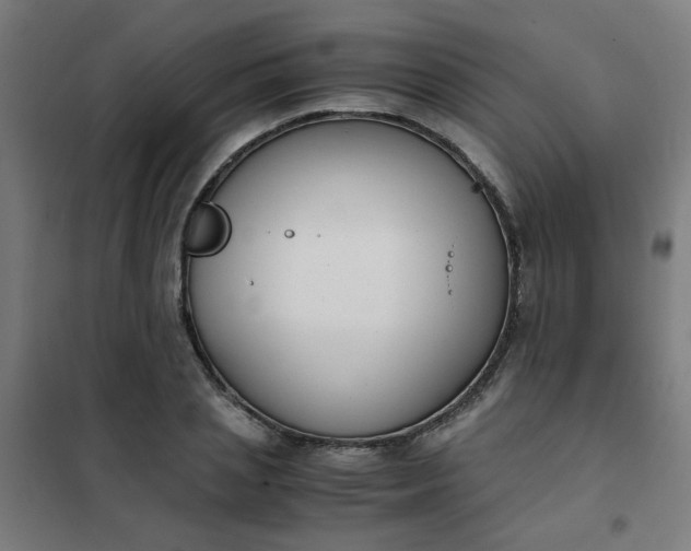 X0000101680837200807241343