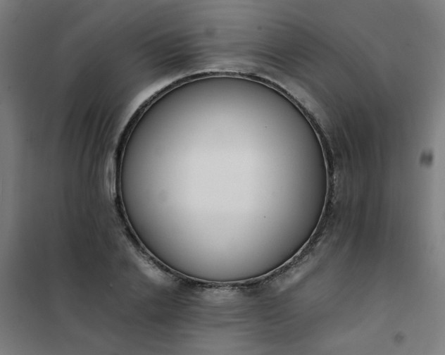 X0000101680838200807241343