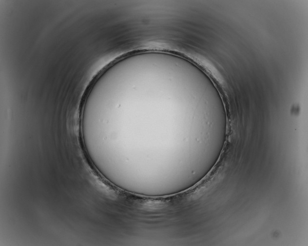 X0000101680839200807241343