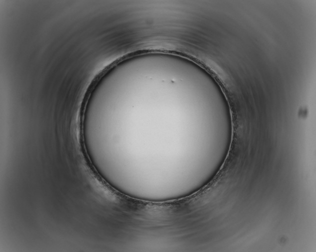 X0000101680840200807241343