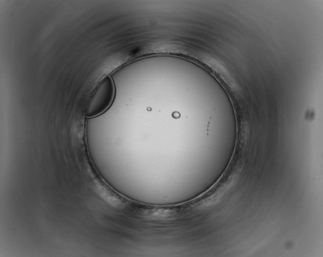 X0000101680841200807241343