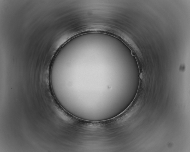 X0000101680842200807241343