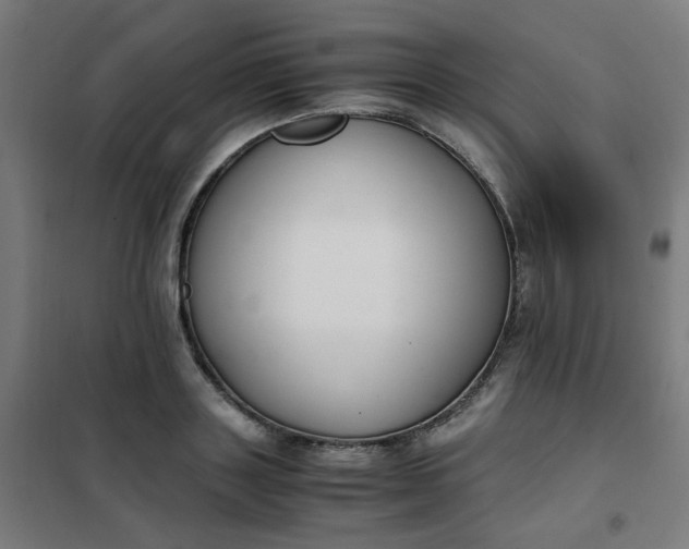 X0000101680843200807241343