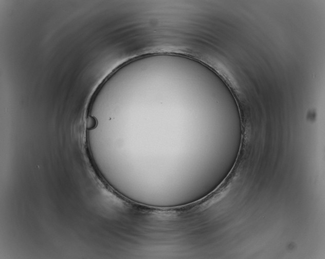 X0000101680844200807241343