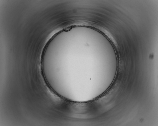 X0000101680845200807241343