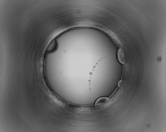 X0000101680846200807241343