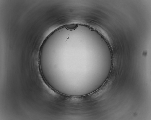 X0000101680847200807241343