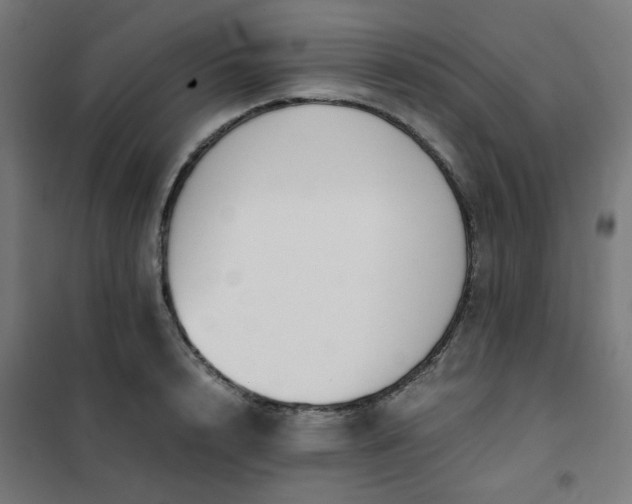 X0000101680848200807241343