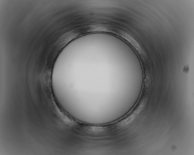 X0000101680849200807241344