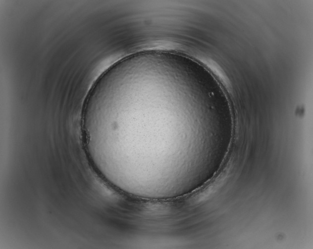 X0000101680850200807241344