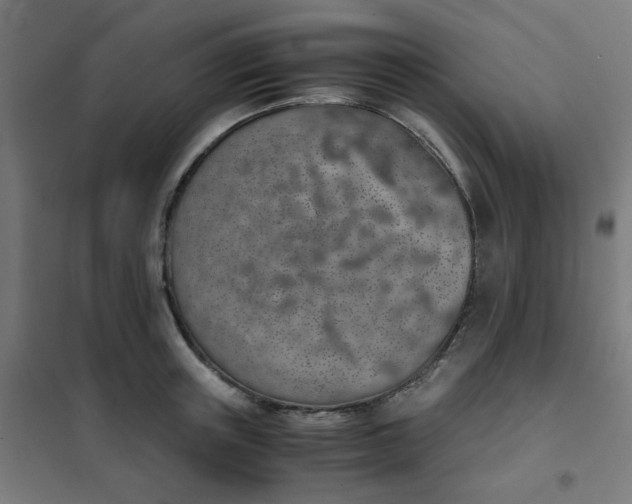 X0000101680851200807241344