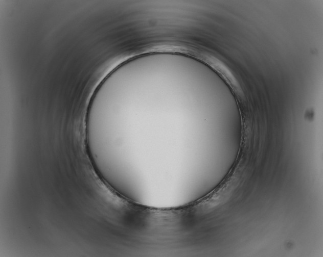 X0000101680852200807241344